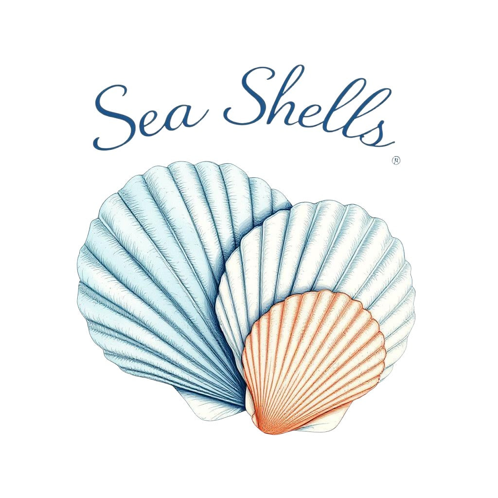Sea Shells