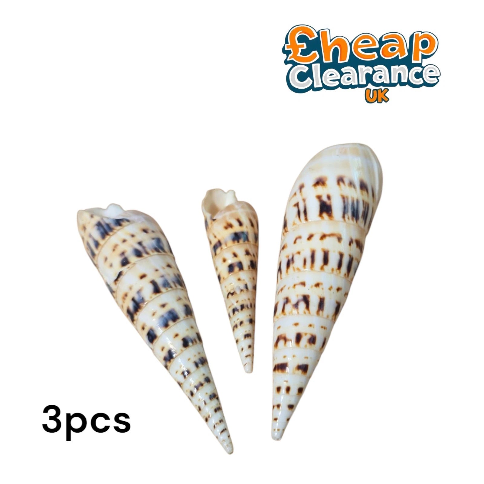 3pcs Terebra maculata Shell Fish Tank Aquarium Decor Ornament 9-12cm