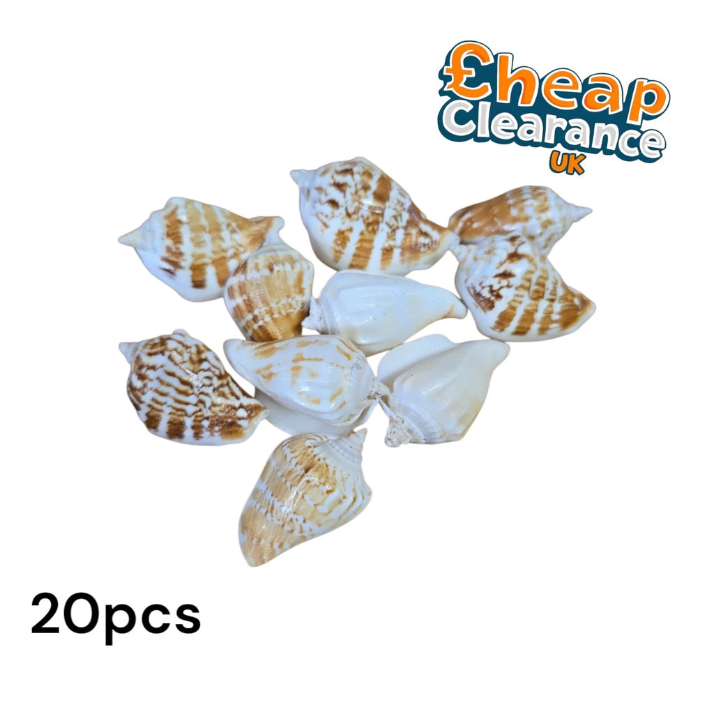 20x Natural Shells Seashells Beach Wedding Display Craft Aquarium Sea Decor