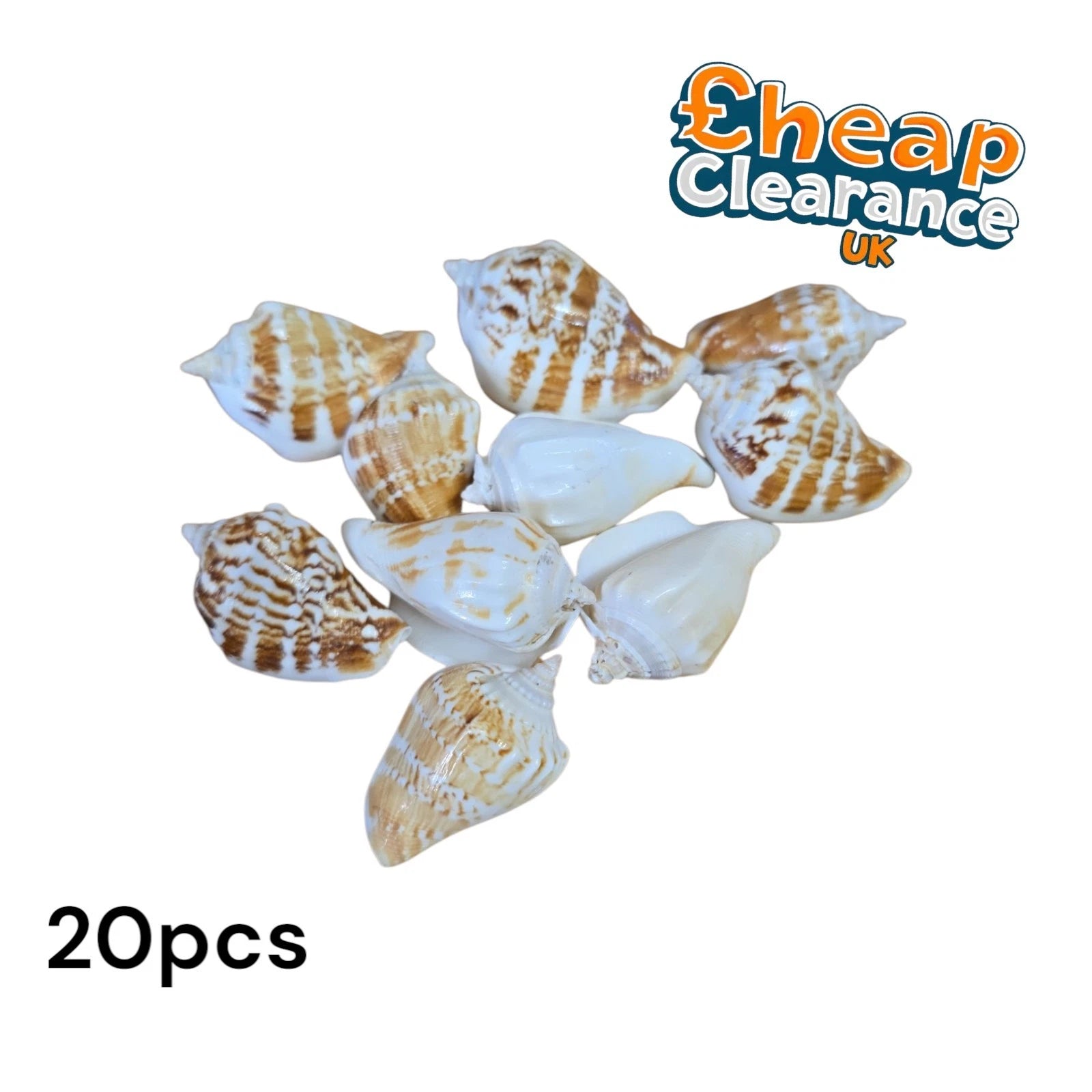 20x Natural Shells Seashells Beach Wedding Display Craft Aquarium Sea Decor