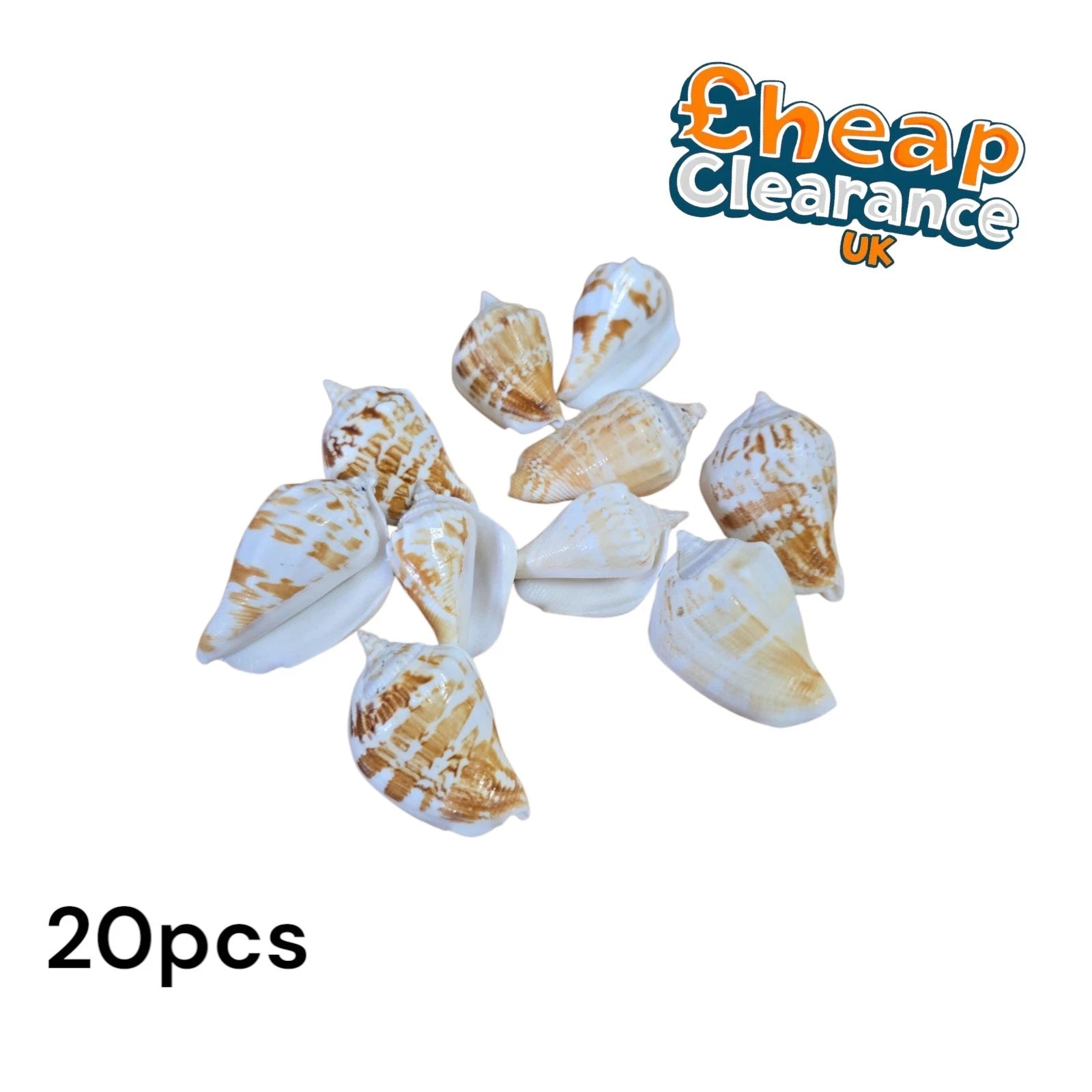 20x Natural Shells Seashells Beach Wedding Display Craft Aquarium Sea Decor