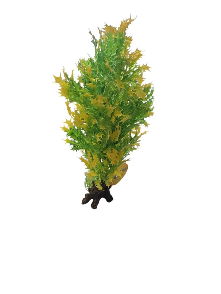 Yellow/Green Aquarium Fish Tank Plant Decoration Ornament 25cm!